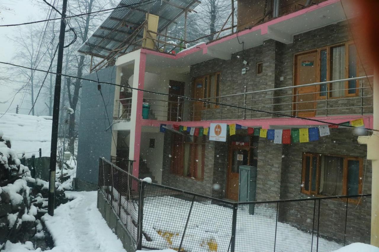 Backpackers Headquarter Manali Hostel - Manali (Himachal Pradesh), Manali